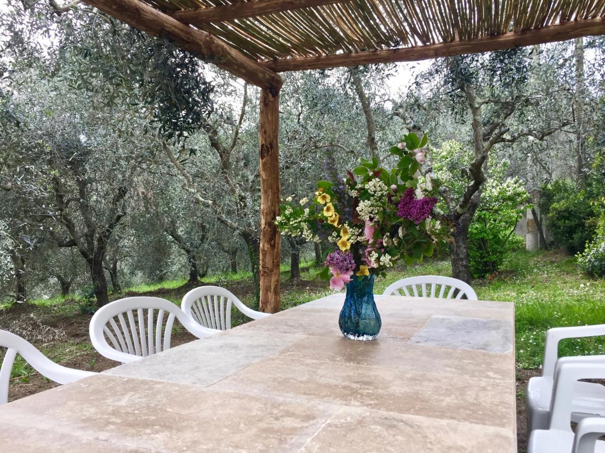 Agriturismo Fattoria Celle Филине Валдарно Екстериор снимка