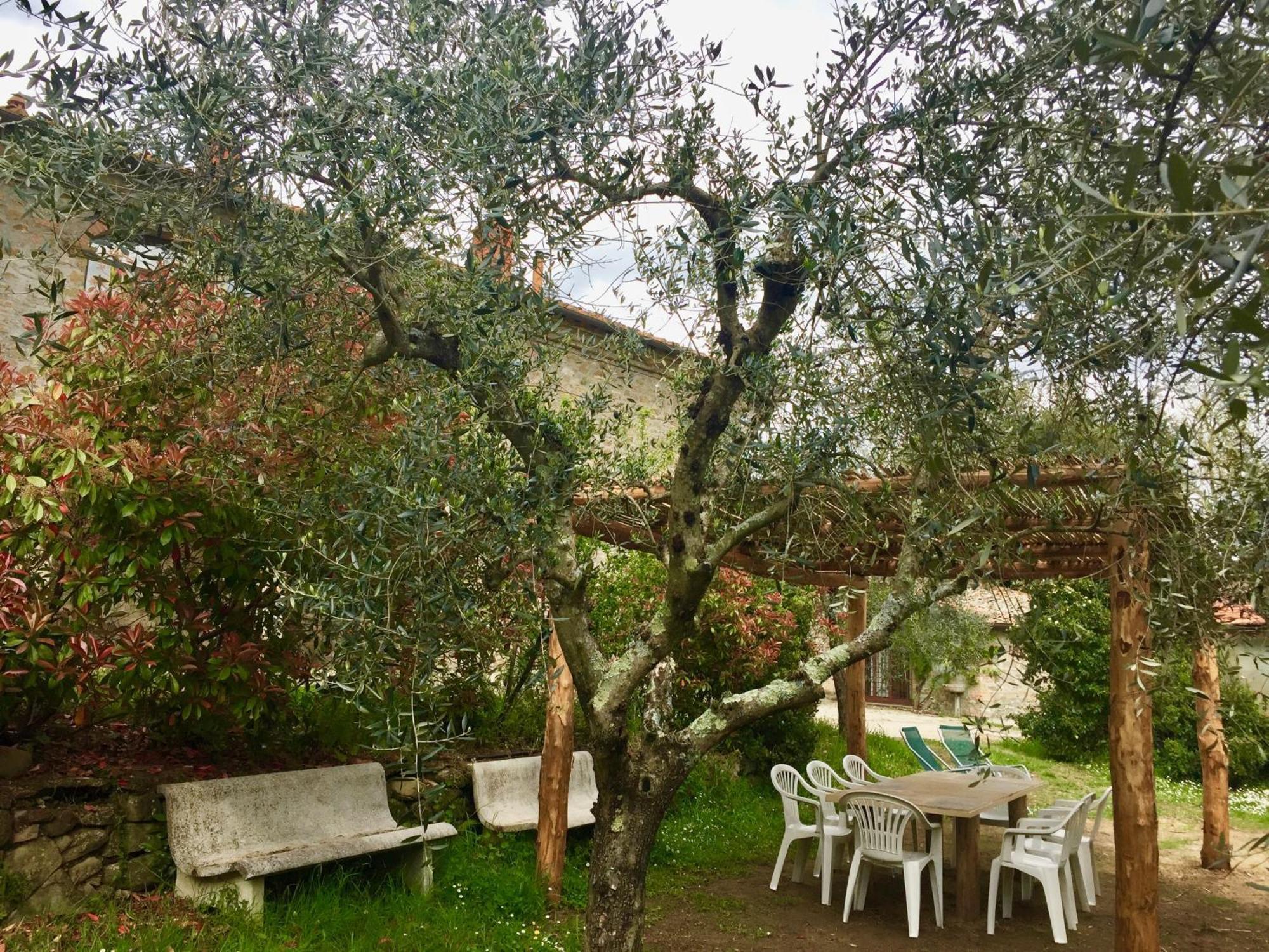 Agriturismo Fattoria Celle Филине Валдарно Стая снимка