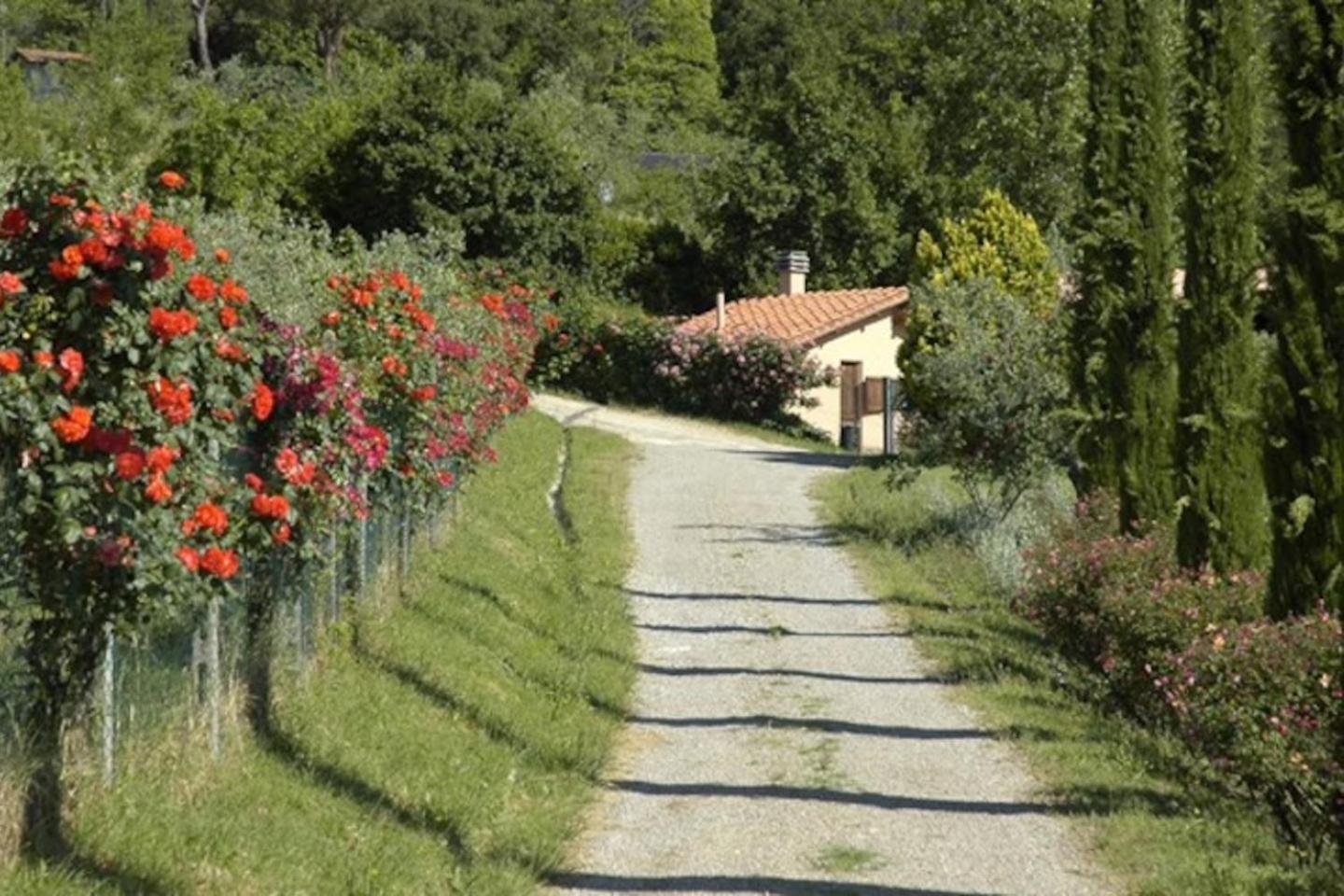 Agriturismo Fattoria Celle Филине Валдарно Стая снимка